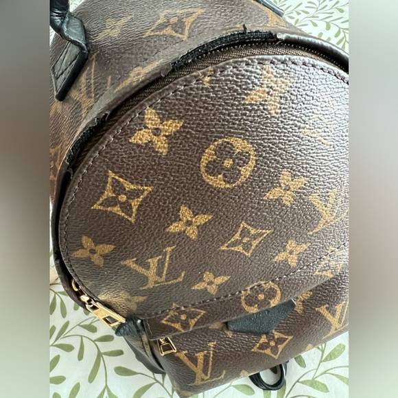 Louis Vuitton Palm Springs Mini - Picture 2 of 12